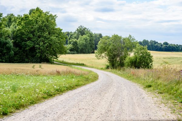 Stone Driveway Repair in Aurora