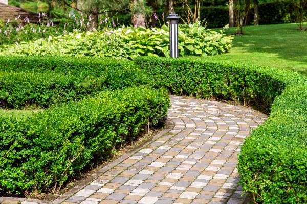 Cost of Paved Landscaping in Aurora