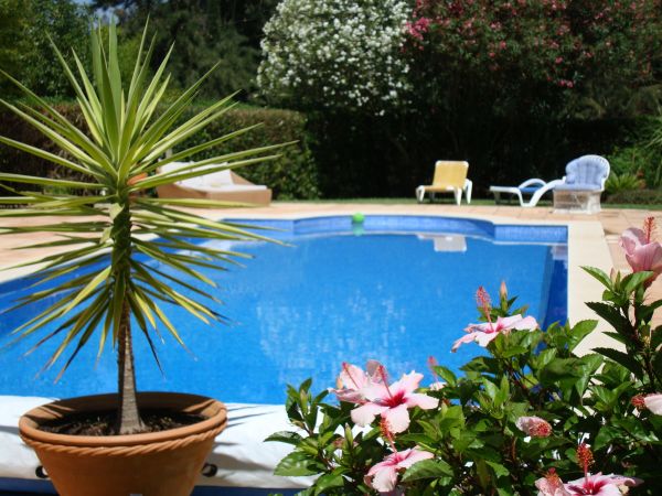 Pool Terrace Renovation in Aurora