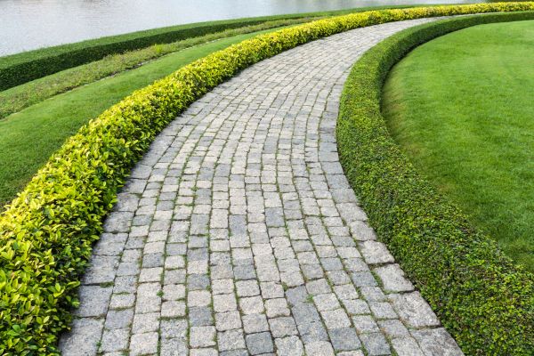 Sidewalk Pavers Installation in Aurora