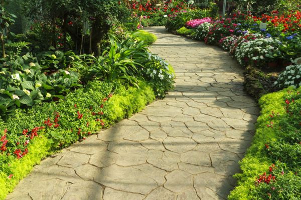 Cost of Stone Pathway Service in Aurora