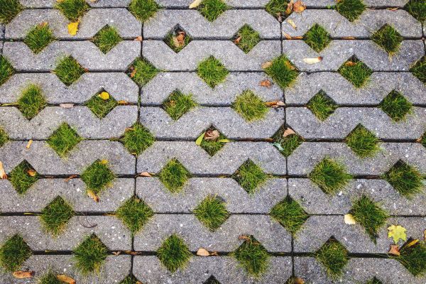 Cost of Porous Paver Installation in Aurora